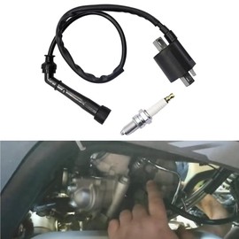 FZJDSD 3YF823700000 1PC Ignition Coil &Spark Plug Compatible with Yamaha Raptor 660R YFM660R Grizzly 660 Rhino 660 YFM660FA 2001-2008 Replace 5FU823100000 3KJ823101000 3YF-82370-00-00 5FU-82310-00-00