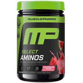 MusclePharm Select Amino's EAA + BCAAs Post-Workout Essential Amino Acids Powder Pre-Workout Energy Supplement with Branched Chain Amino Acids for Men and Women, 1 Count / MusclePharm Select Amino's EAA + BCAAs 운동 후 필수 아미노산 파우더 운동 전 에너지 보충제 분지 사슬 아미노산이 함유된 남성 및 여성용, 1개