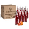 Galvanina - Blood Orange With Pulp - Premium Organic Italian