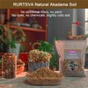 Rurtsva Akadama Bonsai Soil 2lbs Horticultural Potting Soil Amendment Cacti