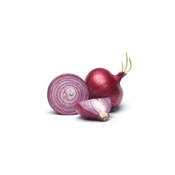 Red Shortday Burgandy Onion Seeds, 300 Heirloom Seeds Per Packet,