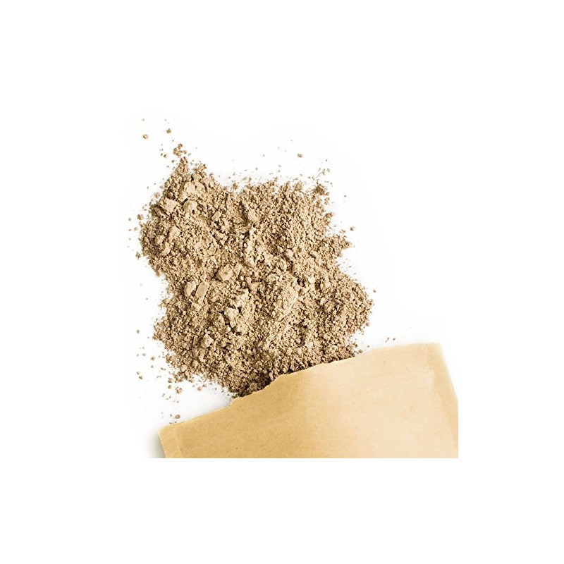 Terra Elements Bio Polyporus Pulver 100 g I Zhu Ling