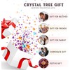 7 Chakras – Chakra Stones – Tree of Life –