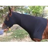 Majestic Ally Horse Stretch Lycra Zip Up Hood Black Small