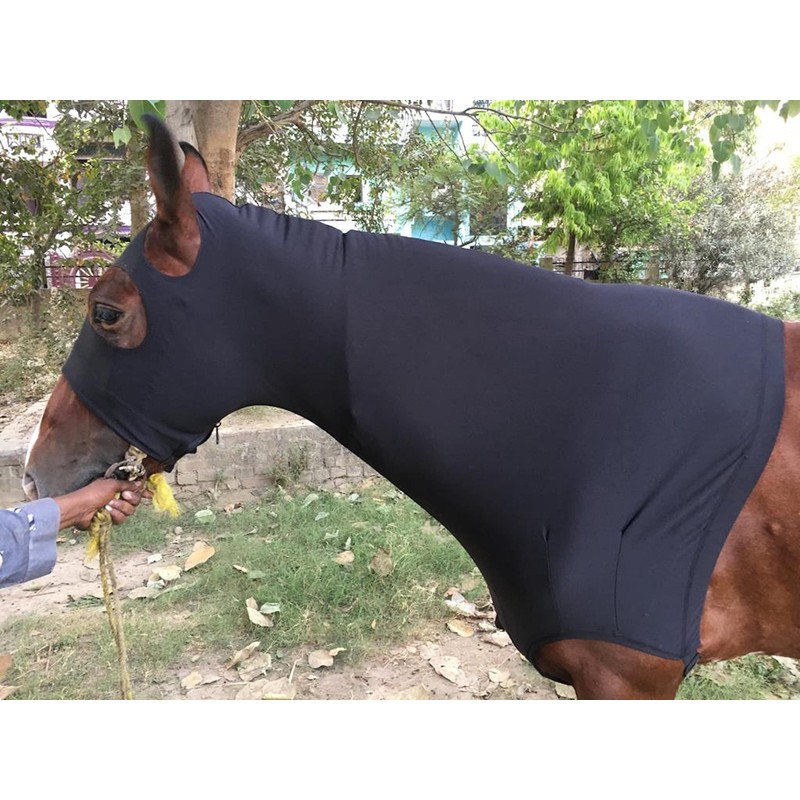 Majestic Ally Horse Stretch Lycra Zip Up Hood Black Small