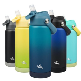 Konokyo Insulated Water Bottle with Straw Lid,18 oz Stainless Steel Vacuum Metal Bottle with Silicone Handle,Vast