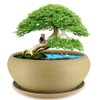 MUZHI 9.5” Round Large Ceramic Bonsai Bowl Planter，Clay Succulent Plant