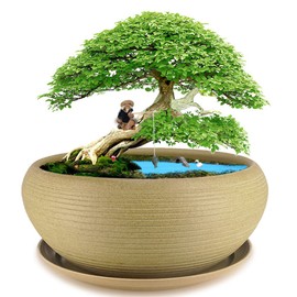 MUZHI 9.5” Round Large Ceramic Bonsai Bowl Planter，Clay Succulent Plant Pot Container with Saucer