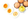 Seals PiepEi - Singing Egg Timer for Cooking with -