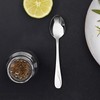 GRÄWE Stralsund Coffee Spoons, Set of 12, Small Stainless Steel
