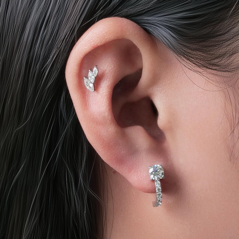 Limerencia Hypoallergenic G23 Implant Grade Titanium Screw Back Earrings Tragus