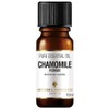 Amphora Aromatics Chamomile Roman Essential Oil 10ml