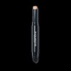 brand Black Monster Erasing Concealer Pen / 블랙몬스터 이레이징 컨실러 펜