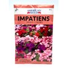American Seed Impatients, Mixed Colors, 100 Square Foot (2 Ounce)