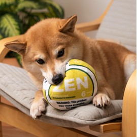 Nestpark Zen Pupper Deckies Parody Dog Toy - Plush Squeaky and Crinkle Funny Dog Toy (Citrus Lick)