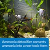 API AMMO-LOCK Freshwater and Saltwater Aquarium Ammonia Detoxifier 4-Ounce Bottle,