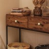 Goo-Ki Champagne Bronze Zinc Alloy Cabinet Enlarged knob - Single