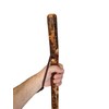 Walking Stick with "USA" Carved in Hiking Staff up to