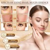Ginseng Anti Wrinkle Serum, Pack of 2 Ginseng Polypeptide Anti-Ageing