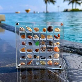 PUOTWN Acrylic Magnetic Seashell Display Box, Seashells Shadow Frame Storage Box, Shells Organizer Decorative Display Case, 36+64 Grids.
