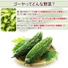 NICHIGA(ニチガ) 純国産ゴーヤ 粉末 500ｇ 種子入りまるごと100％ 露地栽培 残留農薬実施済み ニガウリ [05]