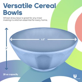 Cereal Bowls with Vacuum Seal Lids Mothers Day Gift - Set of 4 - Microwave,Dishwasher and Freezer Safe for Soup, Oatmeal, Camping, Kids, College Dorm Room, 20 OZ