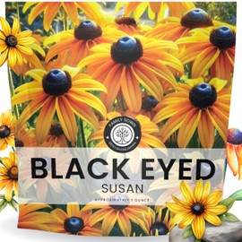 Black Eyed Susan - Large 1 Ounce Packet - 100,000 Flower Seeds for Planting - Rudbeckia hirta