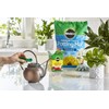 Miracle-Gro Moisture Control Potting Mix and Water Soluble All Purpose