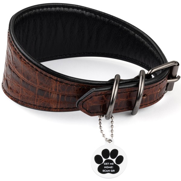 FAVPET Luxury Genuine Leather Greyhound Collar Wide with QR Code