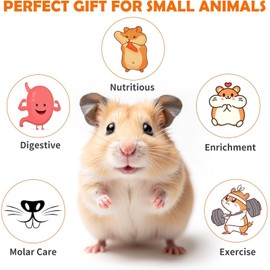10 pcs Hamster Toys Set, Natural Wood Hamster Cage Accessories, Guinea Pig & Small Animal Chewing Toys, Chinchillas, Gerbils, Rats, Rabbits, Rodents Teeth Care