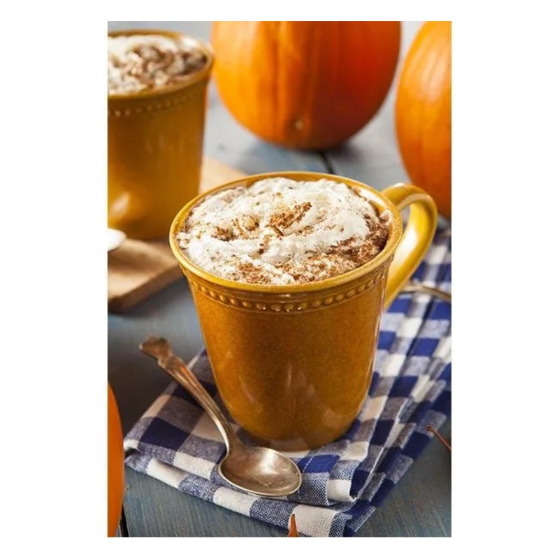 Nestle,Pumpkin Spice, Coffee-mate Liquid Coffee Creamer Single Serving Tubs -