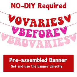 Ovaries Before Brovaries Banner with Hanging Swirls, Happy Galentines Day Banner, Valentines Girls Ladies Galentine’s Day Decorations