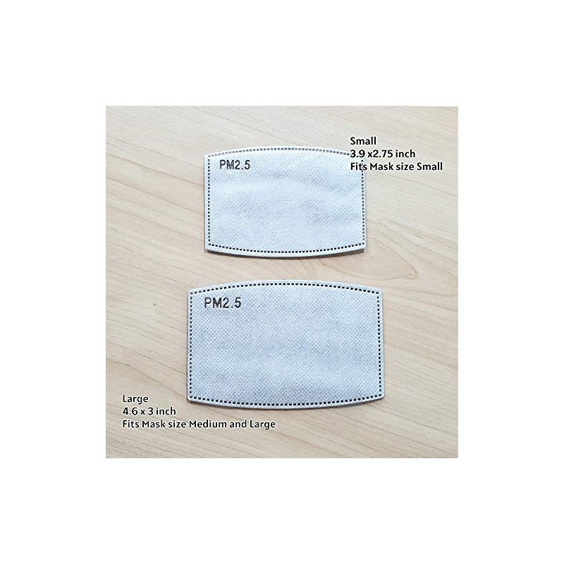 Spring Notion PM 2.5 Activated Carbon Filter Insert Large 20