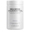 Codeage Raw Wildcrafted Irish Sea Moss Supplement – with Bladderwrack,