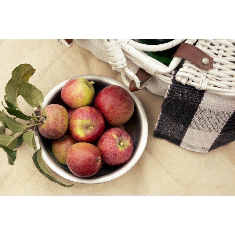 Fox Run Stainless Steel Small Mixing Bowl, 7.25 x 7.25