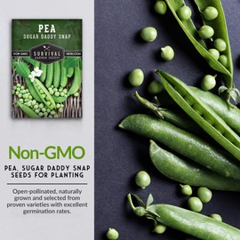 SURVIVAL GARDEN SEEDS Survival Garden Seeds - Sugar Daddy Snap Pea Seeds for Planting C 1 Packet with Instructions to Grow Delicious Pea Pods in Your Home Vegetable Garden C Non-GMO Heirloom Vegetable Seeds