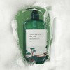 Round Lab Pine Soothing Cica Body Wash 400ml / 라운드랩