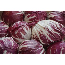 Endive Seeds “Red Treviso” - Multiple Harvest Green to Red Leaf Chicory - Cichorium intybus VAR. Red Treviso | Heirloom Seeds by Liliana's Garden |