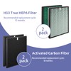 Popurure SPA-550A Filter Replacement Compatible With Rabbit Air BioGS 2.0