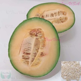 Treevale Hales Best Jumbo Cantaloupe Seeds, Hale’s Best Melon seeds, muskmelon | Non-GMO - 50 Seeds