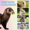 BingegePet Ferret Toys 6-Pack with Bells – Colorful Interlocking Ball