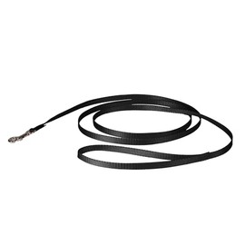 PetSafe Correa de nailon para perro, fuerte y duradero, estilo tradicional, con gancho de cuello fácil de usar, disponible en varios anchos y colores, Negro, 3/8 in. x 6 ft.