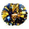 Hooshing 2 Pack Cheerleading Pom Poms Blue and Gold with
