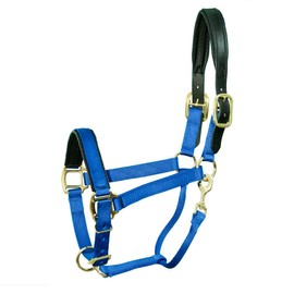 Thornhill Breakaway Padded Halter Purple, Warmblood