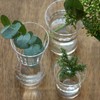 Kimura Glass Shop Molle Glass L [HD3266]
