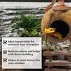 SunGrow Leopard Gecko Coconut Husk Hut with Ladder, with Shell