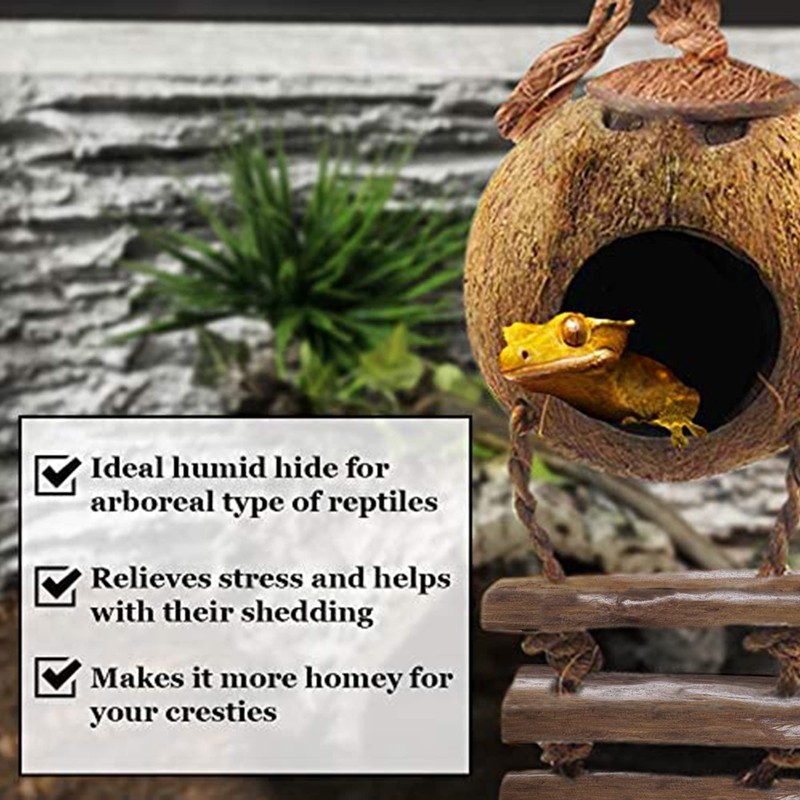 SunGrow Leopard Gecko Coconut Husk Hut with Ladder, with Shell