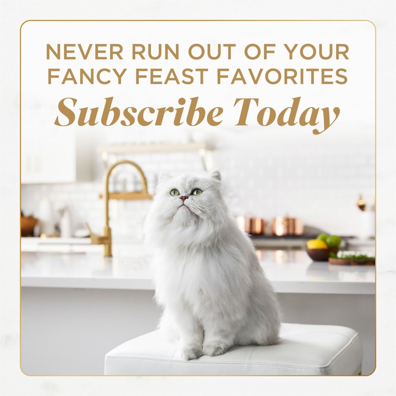 Purina Fancy Feast Savory Centers Wet Cat Food Pate Variety