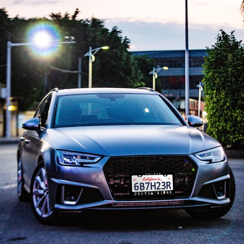 Cat Paw License Plate Frame Cute Animal Print License Plate