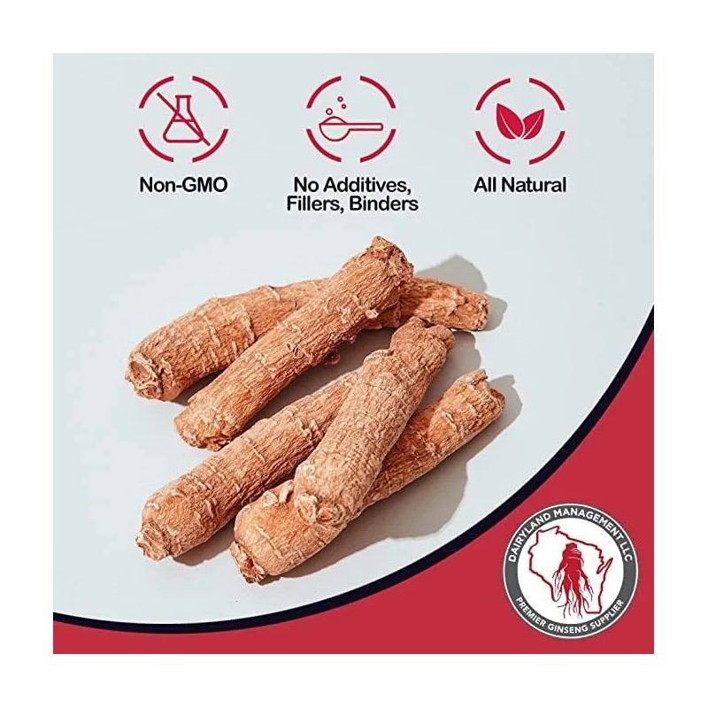 Dairyland Polvo Panax Notoginseng Natural 227g